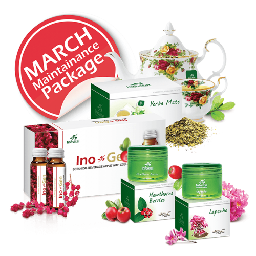 March Maintenance Package